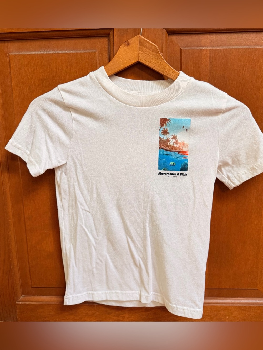 Abercrombie & Fitch White Graphic Crewneck T-Shirt